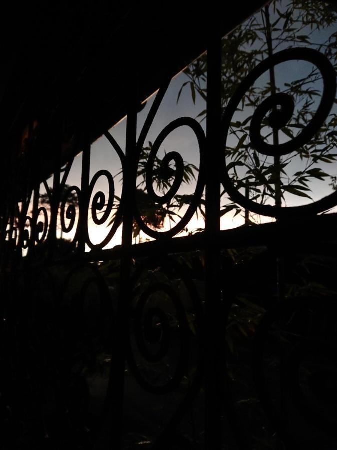 O'Jane De Boy Bed & Breakfast Lège-Cap-Ferret Eksteriør bilde